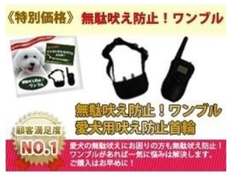 犬のしつけ 無駄吠え防止！ワンブル購入者口コミ感想 : 噛み癖無駄吠え